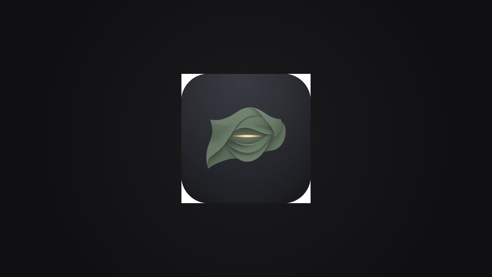 VEIL icon
